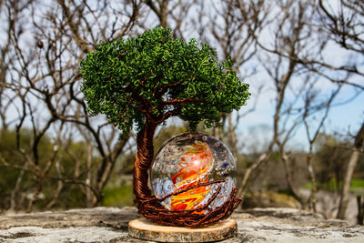 Pale Ponderosa Tree Of Life with Spiral Bubble Flame Orb